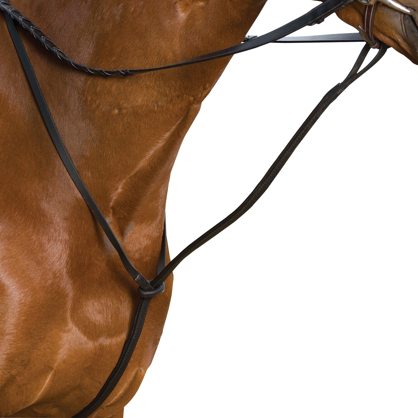 Wintec Standing Martingale