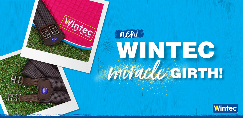 The Wintec Miracle Girth: because your horse deserves magic image